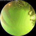 ./images/calvert/underwater/20260617/underwater20260617_144001M.jpg