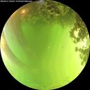 ./images/calvert/underwater/20260617/underwater20260617_144501M.jpg