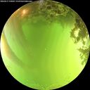 ./images/calvert/underwater/20260617/underwater20260617_150002M.jpg