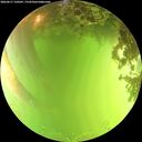./images/calvert/underwater/20260617/underwater20260617_150501M.jpg