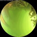 ./images/calvert/underwater/20260617/underwater20260617_151501M.jpg