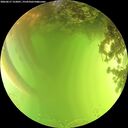 ./images/calvert/underwater/20260617/underwater20260617_152001M.jpg