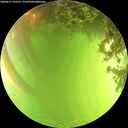 ./images/calvert/underwater/20260617/underwater20260617_152501M.jpg