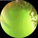 ./images/calvert/underwater/20260617/underwater20260617_153002M.jpg