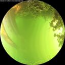 ./images/calvert/underwater/20260617/underwater20260617_154001M.jpg