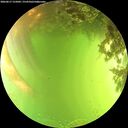 ./images/calvert/underwater/20260617/underwater20260617_155001M.jpg