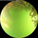 ./images/calvert/underwater/20260617/underwater20260617_155501M.jpg