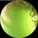 ./images/calvert/underwater/20260617/underwater20260617_160002M.jpg