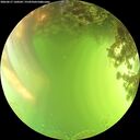 ./images/calvert/underwater/20260617/underwater20260617_160501M.jpg