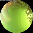 ./images/calvert/underwater/20260617/underwater20260617_161001M.jpg