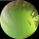 ./images/calvert/underwater/20260617/underwater20260617_162001M.jpg