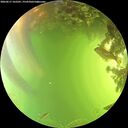 ./images/calvert/underwater/20260617/underwater20260617_162501M.jpg