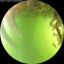 ./images/calvert/underwater/20260617/underwater20260617_163001M.jpg