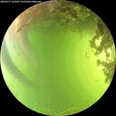 ./images/calvert/underwater/20260617/underwater20260617_163501M.jpg