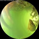 ./images/calvert/underwater/20260617/underwater20260617_164001M.jpg