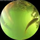 ./images/calvert/underwater/20260617/underwater20260617_164502M.jpg