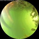 ./images/calvert/underwater/20260617/underwater20260617_165001M.jpg