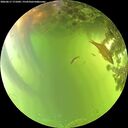 ./images/calvert/underwater/20260617/underwater20260617_171001M.jpg
