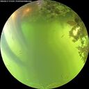 ./images/calvert/underwater/20260617/underwater20260617_171501M.jpg