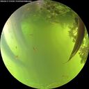 ./images/calvert/underwater/20260617/underwater20260617_172502M.jpg