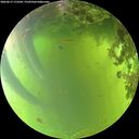 ./images/calvert/underwater/20260617/underwater20260617_173501M.jpg