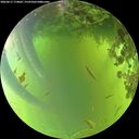 ./images/calvert/underwater/20260617/underwater20260617_174001M.jpg