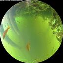 ./images/calvert/underwater/20260617/underwater20260617_174502M.jpg