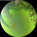 ./images/calvert/underwater/20260617/underwater20260617_175002M.jpg
