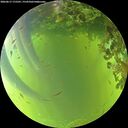 ./images/calvert/underwater/20260617/underwater20260617_175501M.jpg