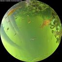./images/calvert/underwater/20260617/underwater20260617_180001M.jpg