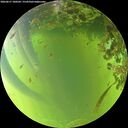 ./images/calvert/underwater/20260617/underwater20260617_180501M.jpg