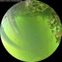 ./images/calvert/underwater/20260617/underwater20260617_181501M.jpg