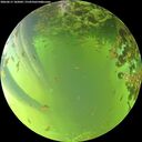 ./images/calvert/underwater/20260617/underwater20260617_182001M.jpg