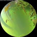 ./images/calvert/underwater/20260617/underwater20260617_182501M.jpg