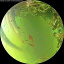 ./images/calvert/underwater/20260617/underwater20260617_183501M.jpg