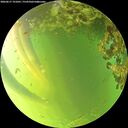 ./images/calvert/underwater/20260617/underwater20260617_191001M.jpg