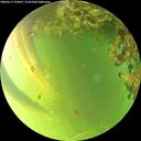 ./images/calvert/underwater/20260617/underwater20260617_192001M.jpg