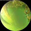 ./images/calvert/underwater/20260617/underwater20260617_192501M.jpg