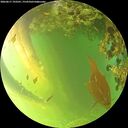 ./images/calvert/underwater/20260617/underwater20260617_193501M.jpg