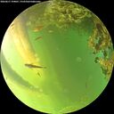 ./images/calvert/underwater/20260617/underwater20260617_194001M.jpg