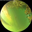 ./images/calvert/underwater/20260617/underwater20260617_195001M.jpg