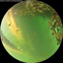 ./images/calvert/underwater/20260617/underwater20260617_201001M.jpg