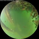 ./images/calvert/underwater/20260617/underwater20260617_201502M.jpg