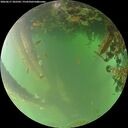 ./images/calvert/underwater/20260617/underwater20260617_202502M.jpg