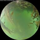 ./images/calvert/underwater/20260617/underwater20260617_203501M.jpg
