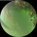 ./images/calvert/underwater/20260617/underwater20260617_204001M.jpg