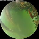 ./images/calvert/underwater/20260617/underwater20260617_205001M.jpg