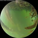 ./images/calvert/underwater/20260617/underwater20260617_210001M.jpg