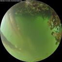 ./images/calvert/underwater/20260617/underwater20260617_211001M.jpg