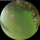 ./images/calvert/underwater/20260617/underwater20260617_212001M.jpg